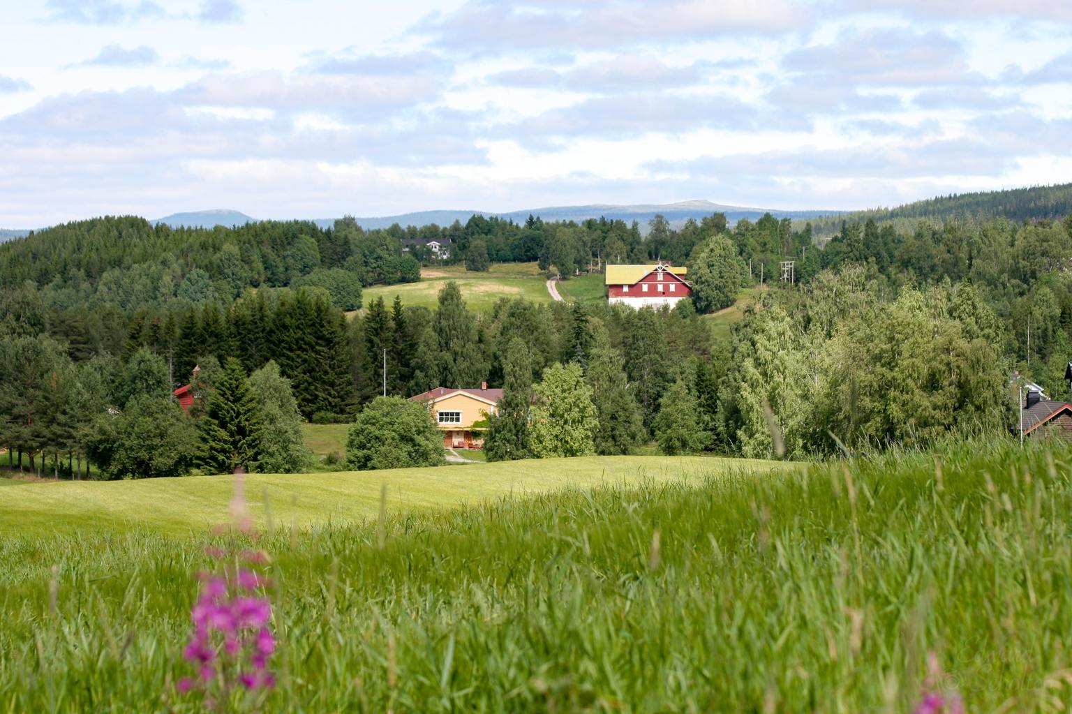 GlommaHouse-omgeving-16