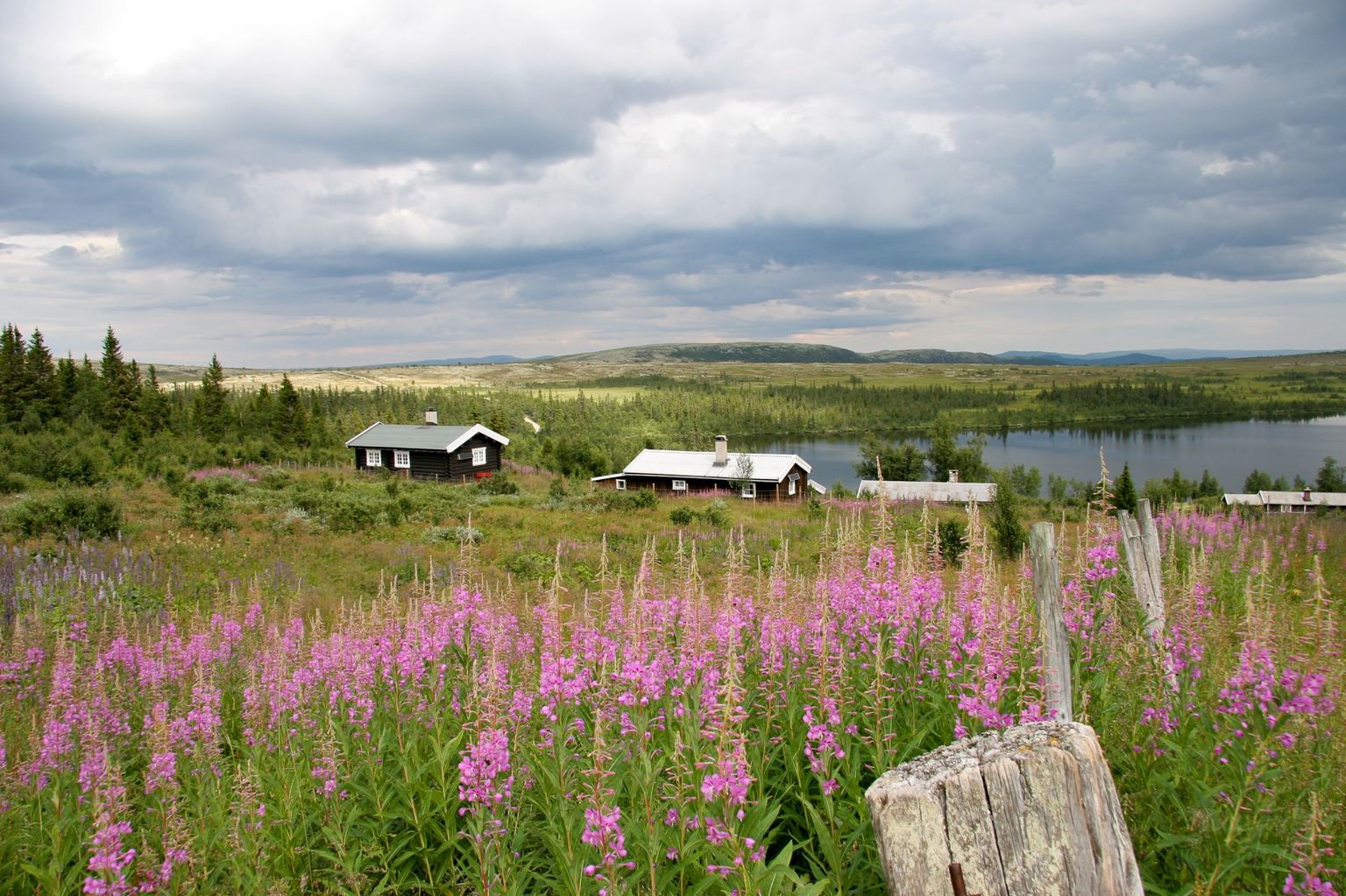 GlommaHouse-omgeving-21