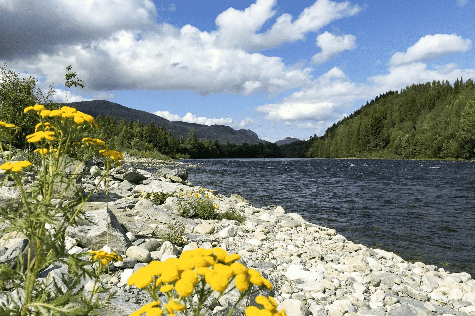 GlommaHouse-omgeving-22-2