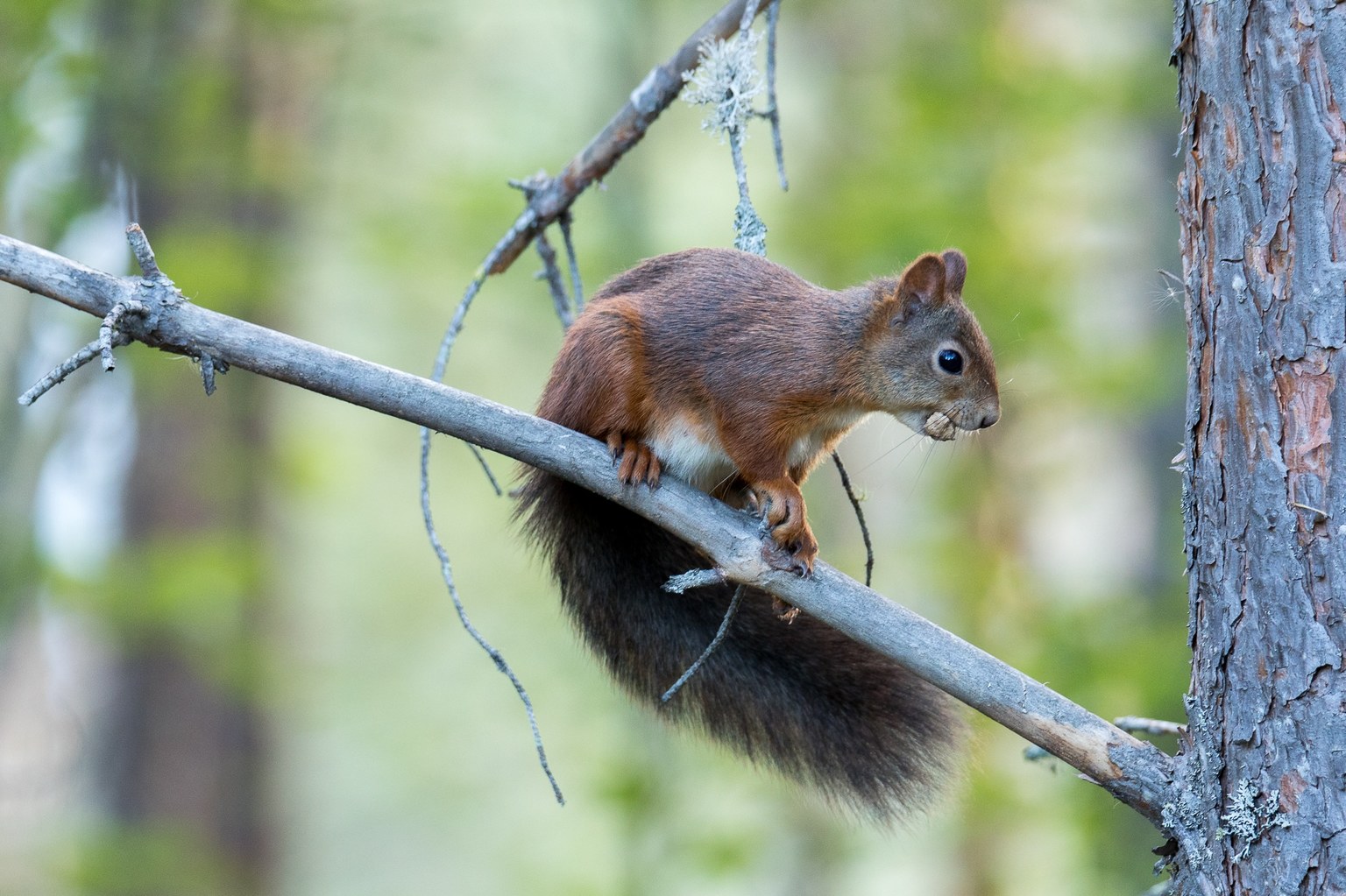 GlommaHouse-omgeving-7